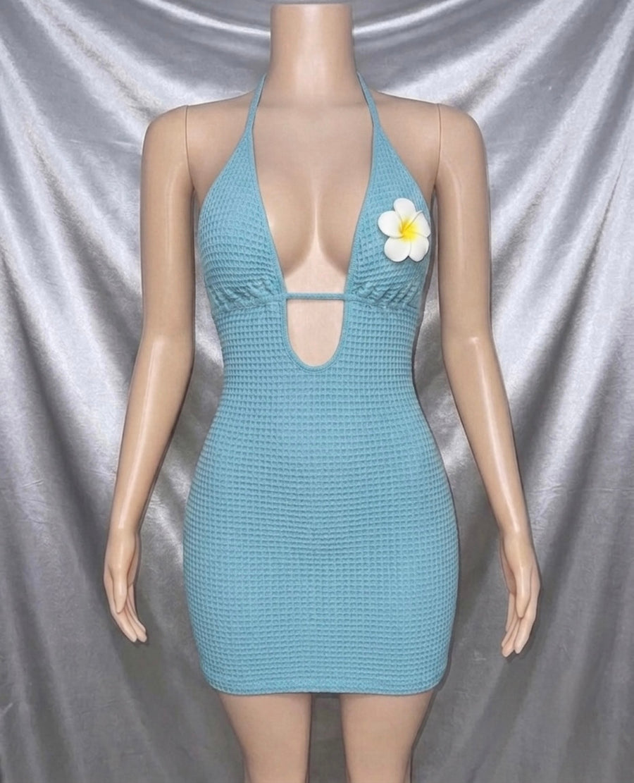 Blue Flower Mini